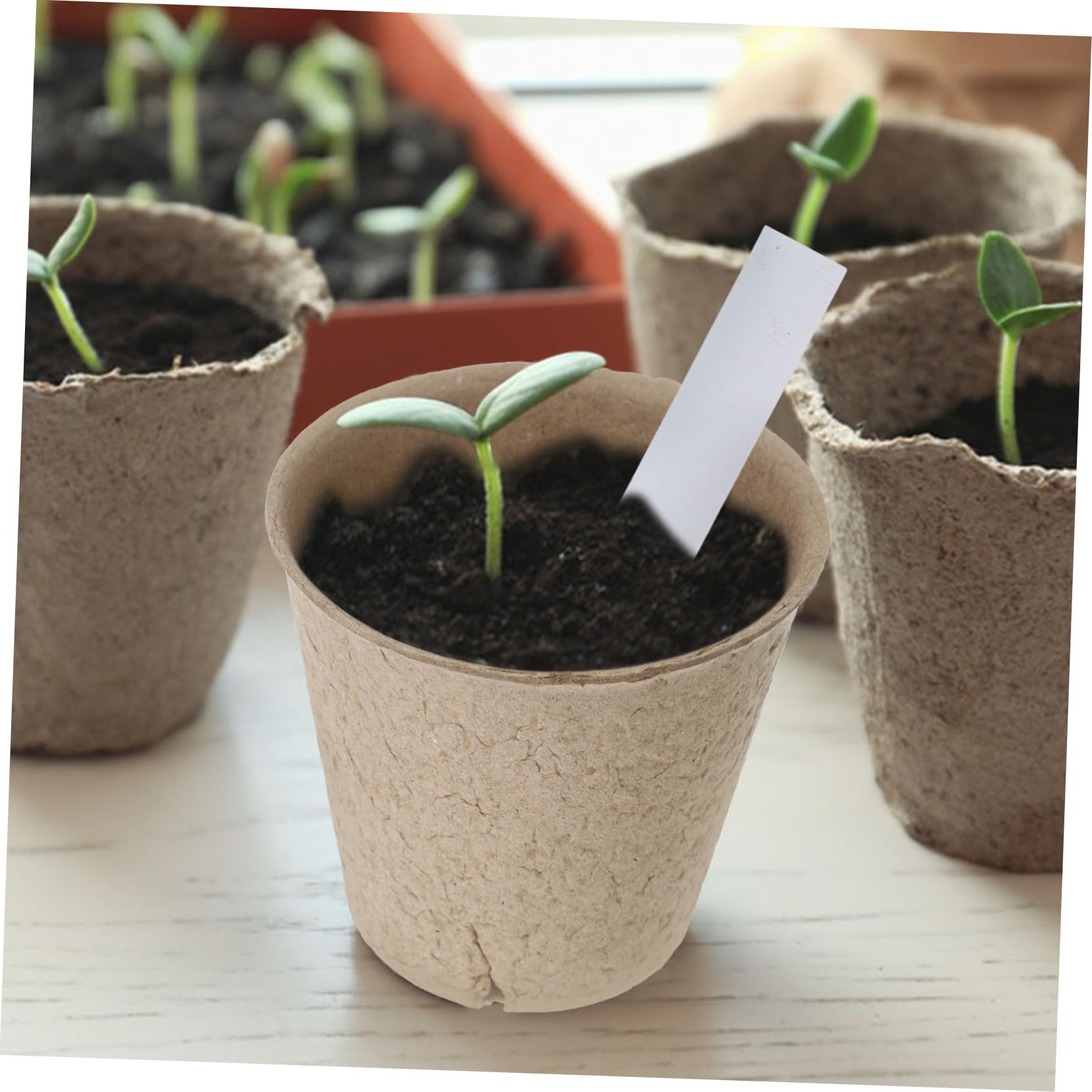 Amazon.com: BEBEMOKO 1set Organic Paper Planting Pots Drainage